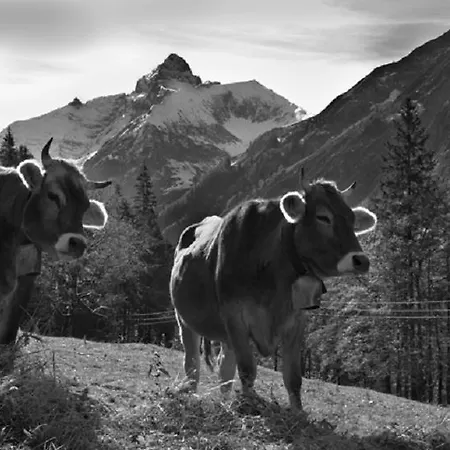 Daire Haus Aigner Fischen im Allgaeu