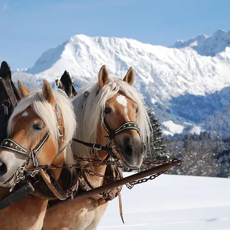 Daire Haus Aigner Fischen im Allgaeu